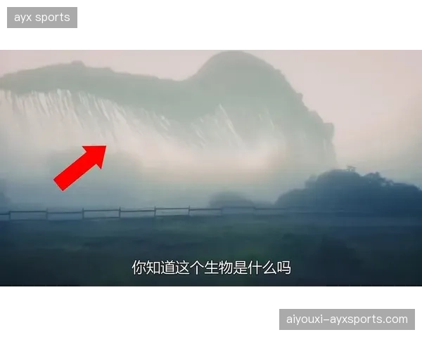 《唐田去留悬念拉满》：从“未知”到“必然”的深度解析